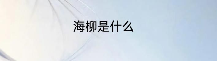 海柳是什么