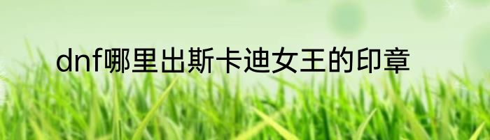 dnf哪里出斯卡迪女王的印章