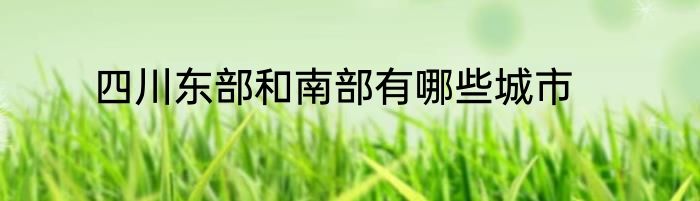 四川东部和南部有哪些城市