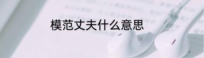 模范丈夫什么意思