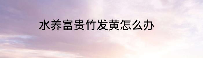 水养富贵竹发黄怎么办