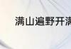 满山遍野开满坡是哪首歌的歌词