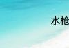 水枪洗车技巧