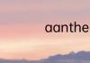 aanthe的用法及区别