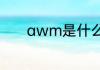 awm是什么意思什么是awm