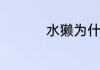 水獭为什么会拖人下水