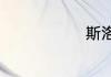斯洛伐克捷克