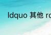ldquo 其他 rdquo 这个词怎么用