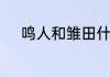 鸣人和雏田什么时候确定关系的