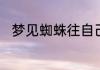 梦见蜘蛛往自己身上爬是什么意思