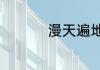 漫天遍地的意思是什么
