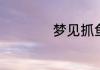 梦见抓鱼是什么征兆