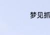 梦见抓住鸡的含义