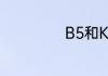 B5和K乳使用方法