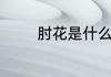 肘花是什么啊那个部位的肉