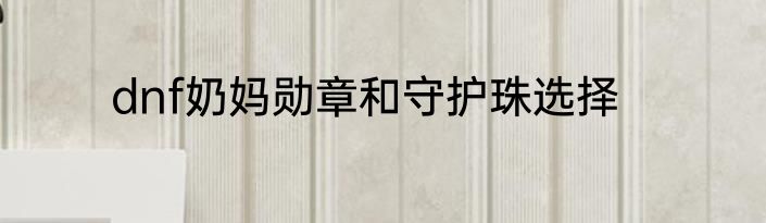 dnf奶妈勋章和守护珠选择