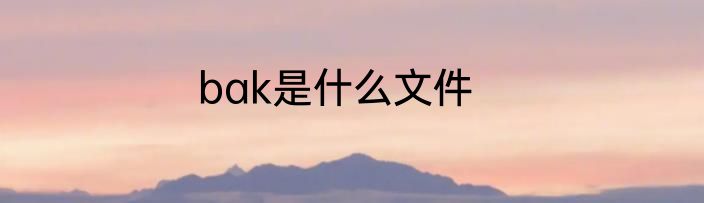 bak是什么文件