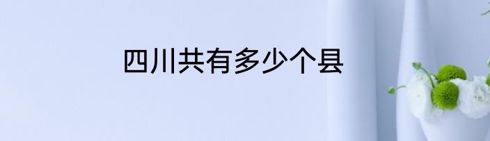 四川共有多少个县