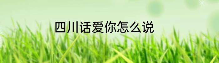 四川话爱你怎么说