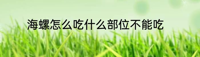 海螺怎么吃什么部位不能吃
