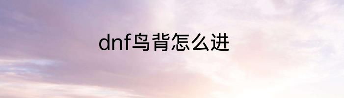 dnf鸟背怎么进