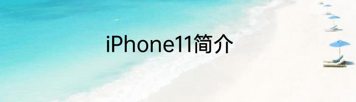 iPhone11简介