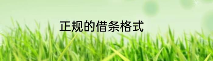 正规的借条格式