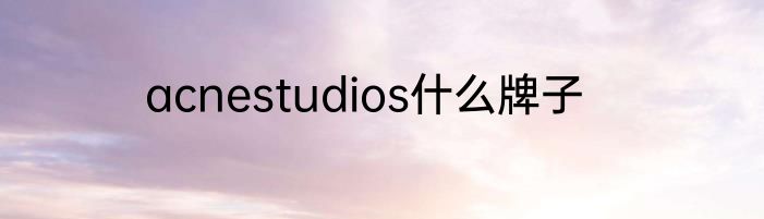 acnestudios什么牌子