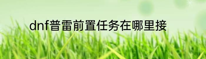 dnf普雷前置任务在哪里接