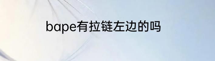 bape有拉链左边的吗