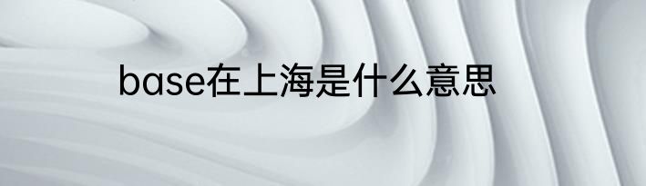 base在上海是什么意思