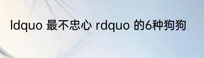 ldquo 最不忠心 rdquo 的6种狗狗
