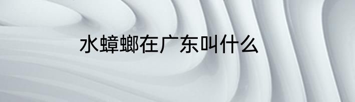 水蟑螂在广东叫什么