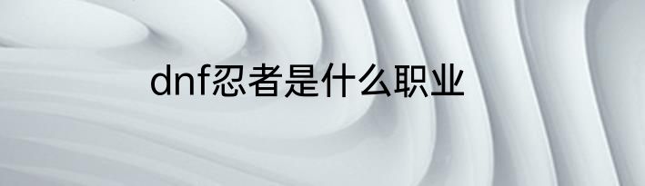 dnf忍者是什么职业