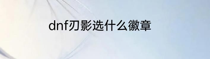 dnf刃影选什么徽章