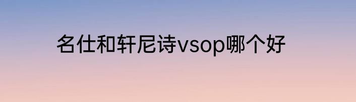 名仕和轩尼诗vsop哪个好