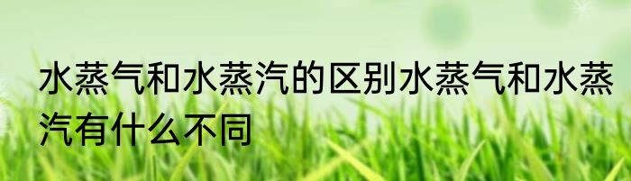 水蒸气和水蒸汽的区别水蒸气和水蒸汽有什么不同