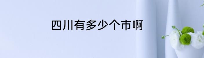 四川有多少个市啊