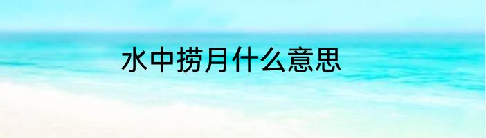 水中捞月什么意思