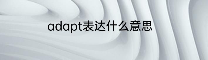 adapt表达什么意思