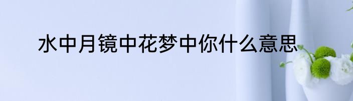 水中月镜中花梦中你什么意思