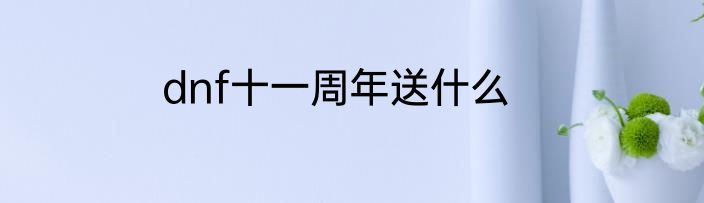 dnf十一周年送什么