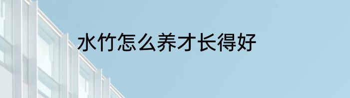 水竹怎么养才长得好