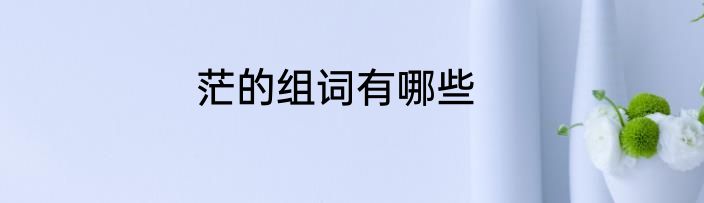 茫的组词有哪些