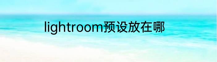 lightroom预设放在哪