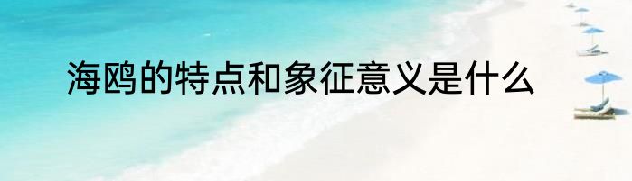 海鸥的特点和象征意义是什么