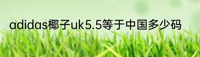 adidas椰子uk5.5等于中国多少码