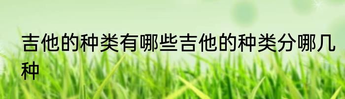 吉他的种类有哪些吉他的种类分哪几种