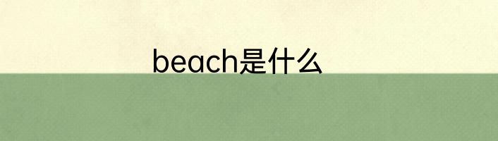 beach是什么