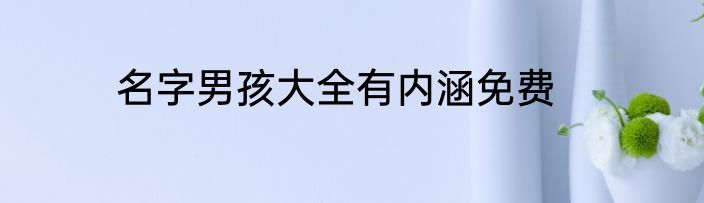 名字男孩大全有内涵免费